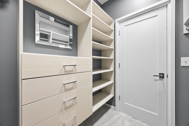 walk in closet featuring carpet floors