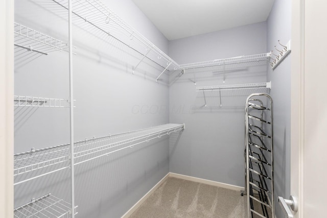 spacious closet featuring carpet flooring
