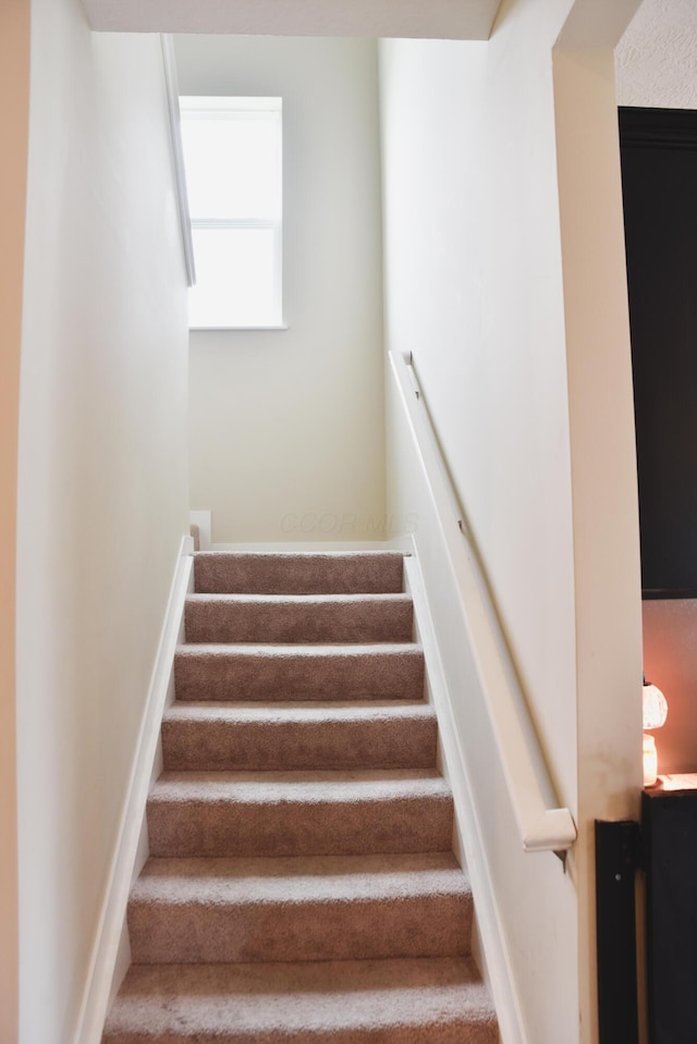 1151 Gelbray Dr, Columbus, OH 43207 - staircase featuring carpet flooring