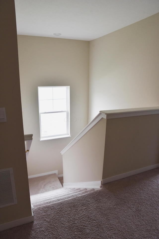 1151 Gelbray Dr, Columbus, OH 43207 - stairway featuring visible vents, carpet flooring, and baseboards