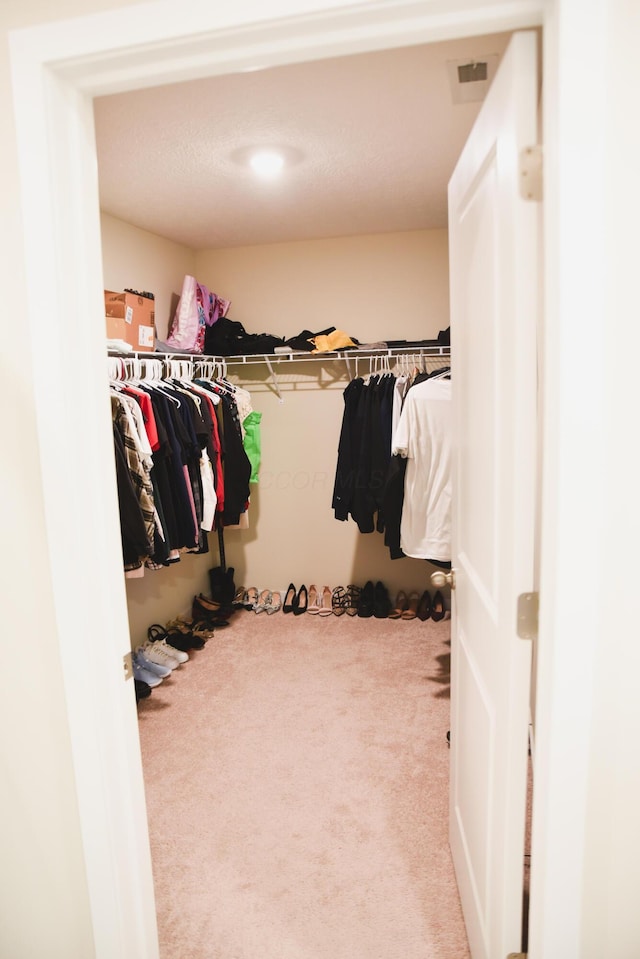 1151 Gelbray Dr, Columbus, OH 43207 - spacious closet with carpet flooring
