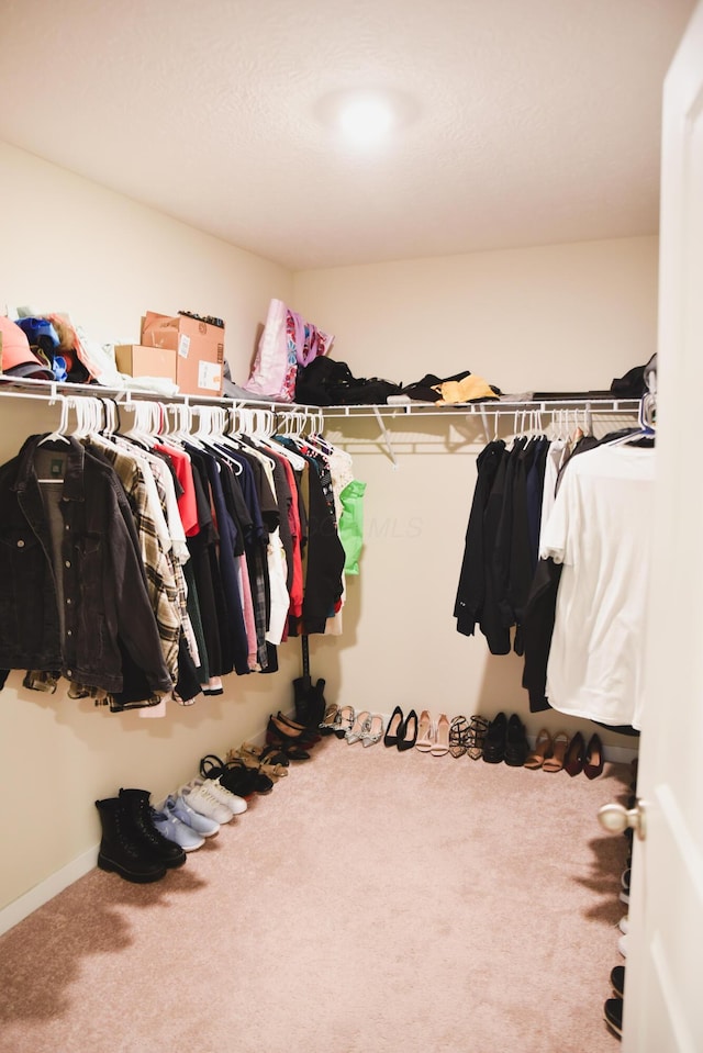 1151 Gelbray Dr, Columbus, OH 43207 - spacious closet featuring carpet