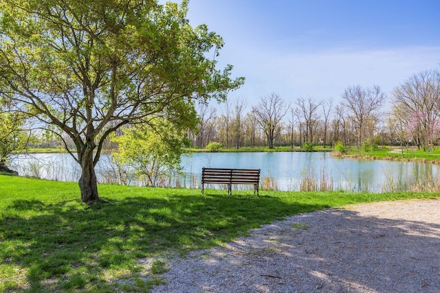 6008 Macnabb Ct, Hilliard, OH 43026 - view of water feature
