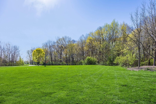 6008 Macnabb Ct, Hilliard, OH 43026 - view of yard