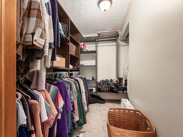 6008 Macnabb Ct, Hilliard, OH 43026 - walk in closet with carpet flooring