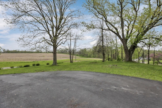 19361 White Stone Rd, Marysville, OH 43040 - view of yard