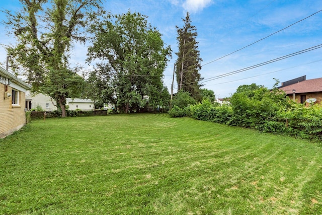 5068 Tremaine Ct, Columbus, OH 43232 - view of yard