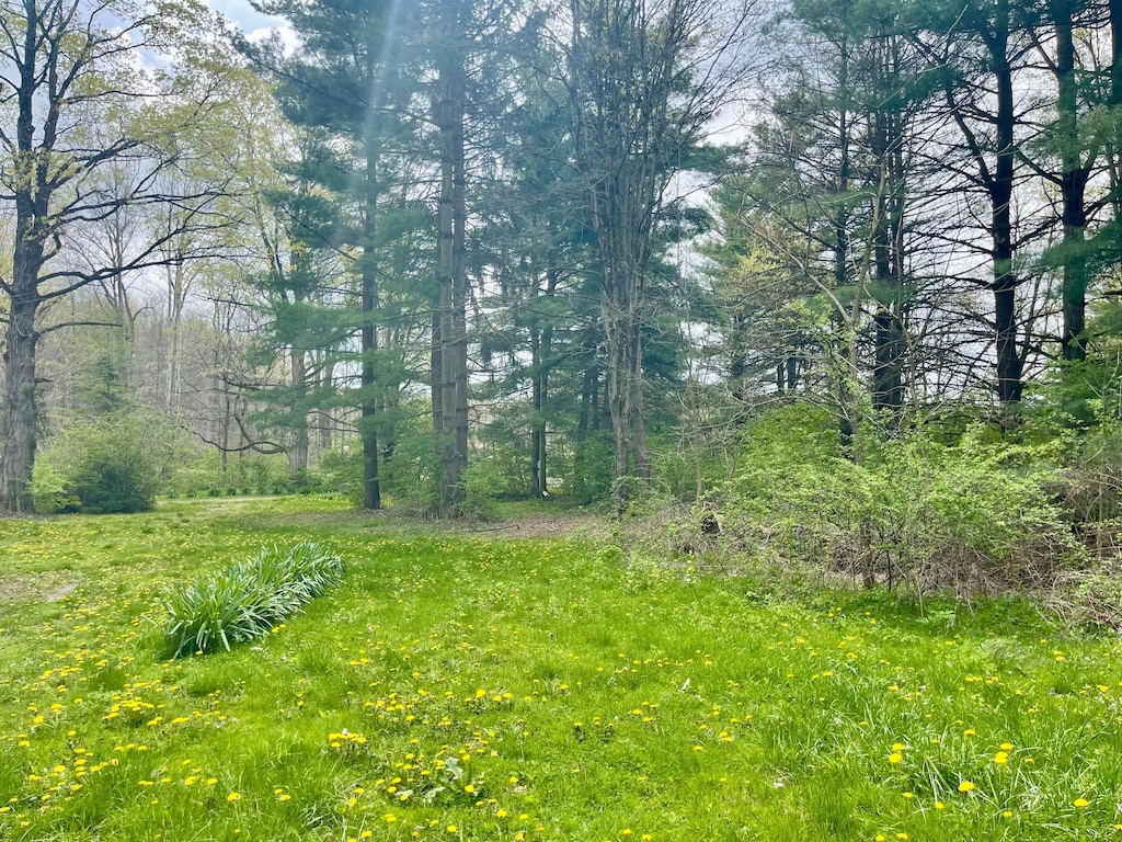 5041 Township Road 187, Marengo, OH 43334 - photo 2