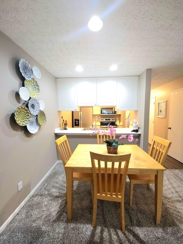 6682 Lagrange Dr Unit 48B, Canal Winchester, OH 43110 - carpeted dining area featuring baseboards, a sink, and a textured ceiling