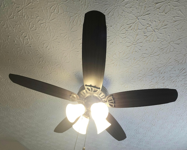 6682 Lagrange Dr Unit 48B, Canal Winchester, OH 43110 - interior details with ceiling fan