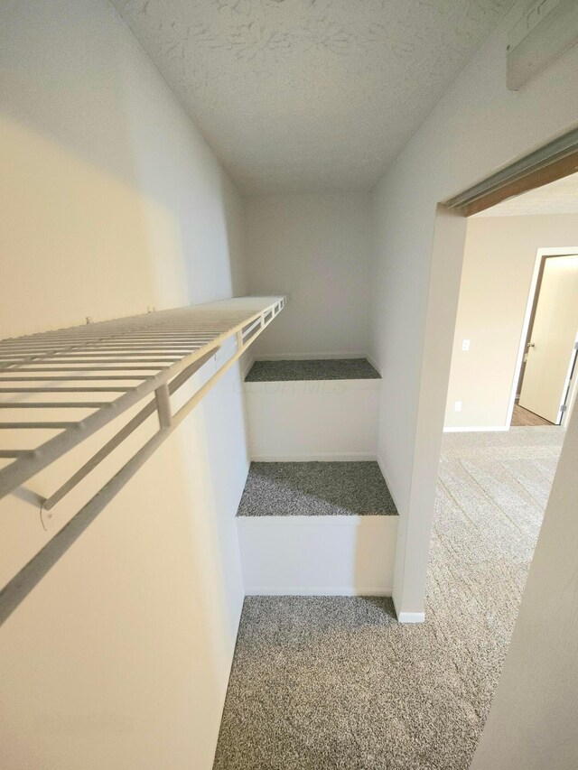 6682 Lagrange Dr Unit 48B, Canal Winchester, OH 43110 - spacious closet featuring carpet