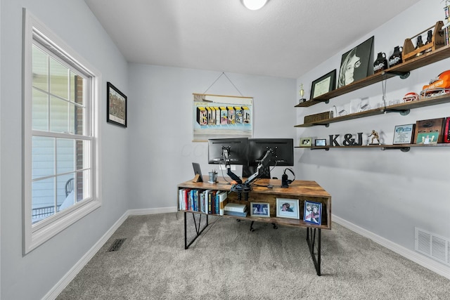 carpeted office space featuring baseboards, visible vents, and a wealth of natural light