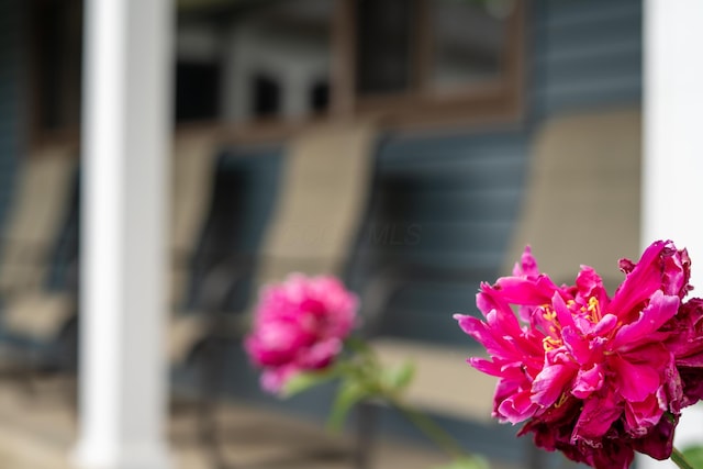 173 S Chesterfield Rd, Columbus, OH 43209 - detailed view