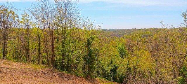 143 Garland Creek Road (Crown Wildlife Tract 3), Crown City, OH 45623 - photo 4