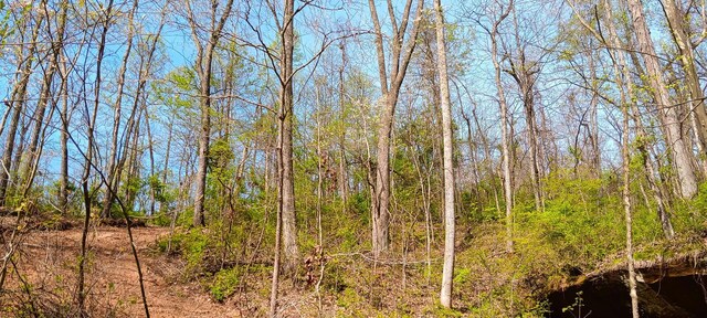 143 Garland Creek Road (Crown Wildlife Tract 3), Crown City, OH 45623 - photo 17