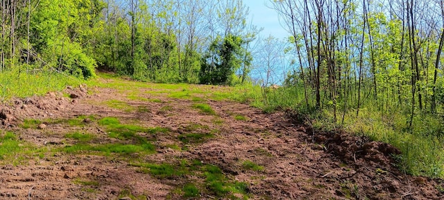 143 Garland Creek Road (Crown Wildlife Tract 3), Crown City, OH 45623 - photo 23