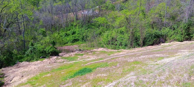 143 Garland Creek Road (Crown Wildlife Tract 3), Crown City, OH 45623 - photo 25