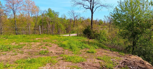 143 Garland Creek Road (Crown Wildlife Tract 3), Crown City, OH 45623 - photo 35