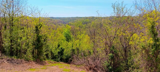 143 Garland Creek Road (Crown Wildlife Tract 3), Crown City, OH 45623 - photo 46