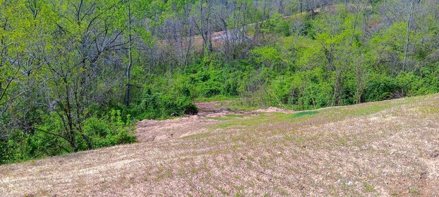 143 Garland Creek Road (Crown Wildlife Tract 3), Crown City, OH 45623 - photo 47