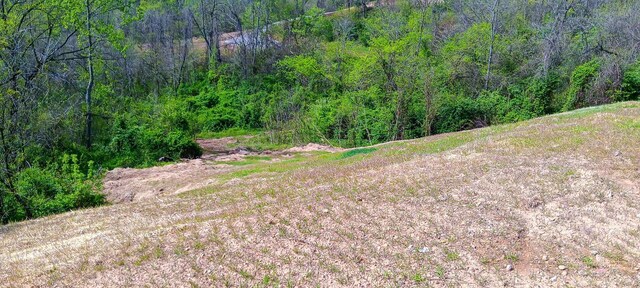 143 Garland Creek Road (Crown Wildlife Tract 3), Crown City, OH 45623 - photo 48