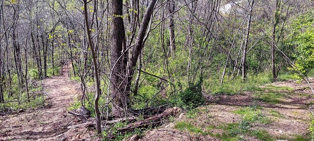 143 Garland Creek Road (Crown Wildlife Tract 3), Crown City, OH 45623 - photo 52