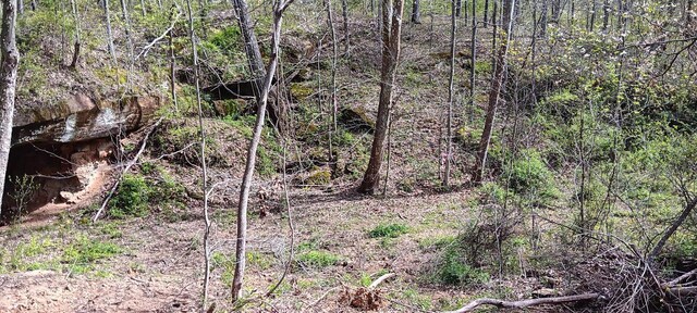143 Garland Creek Road (Crown Wildlife Tract 3), Crown City, OH 45623 - photo 55