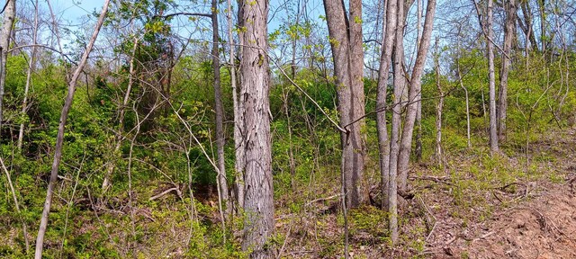 143 Garland Creek Road (Crown Wildlife Tract 3), Crown City, OH 45623 - photo 62