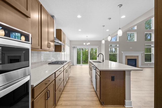 1206 Clover St, Sunbury, OH 43074 - kitchen with a glass covered fireplace, appliances with stainless steel finishes, light wood-type flooring, and a sink