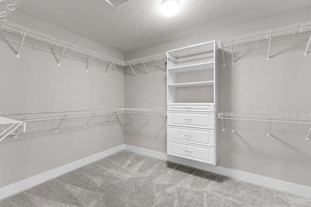 1206 Clover St, Sunbury, OH 43074 - walk in closet with carpet