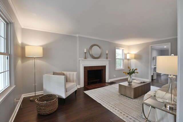 living area with baseboards, ornamental molding, dark wood-style flooring, and a fireplace