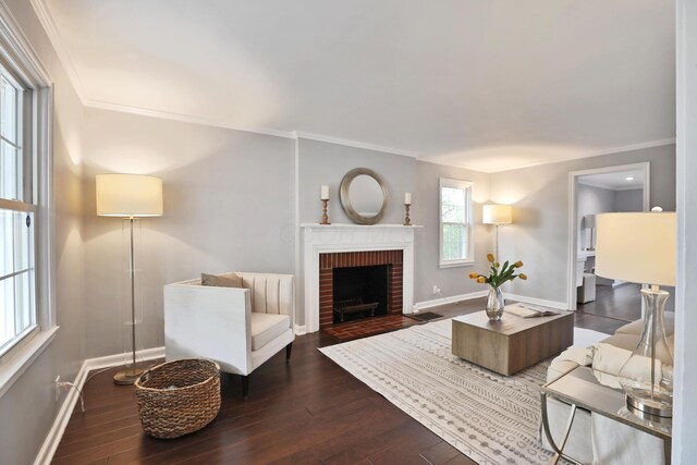 living room with ornamental molding, baseboards, dark wood-style flooring, and a fireplace