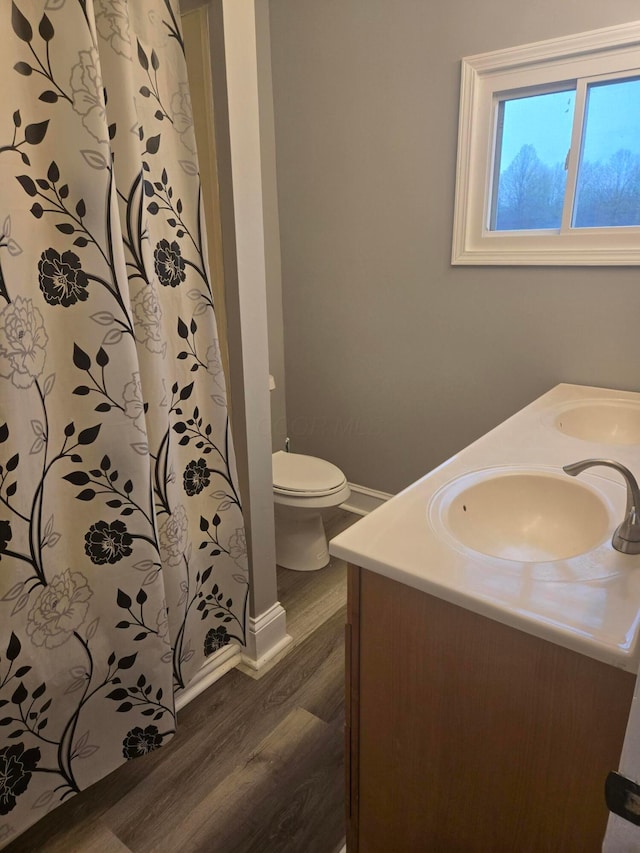 bathroom with wood finished floors, toilet, double vanity, and a sink