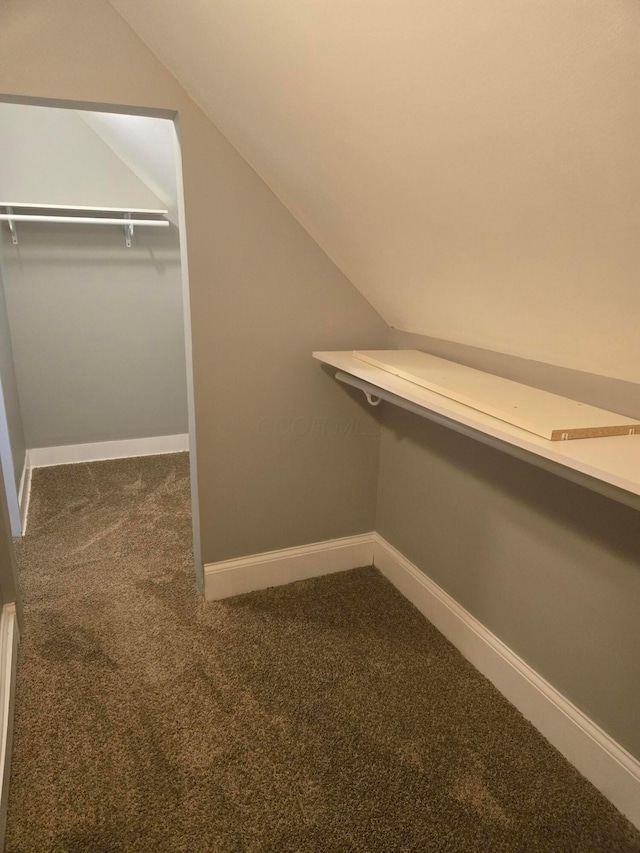 walk in closet featuring carpet flooring and vaulted ceiling