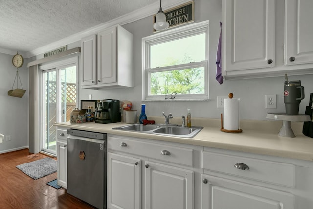 kitchen featuring a sink, stainless steel dishwasher, white cabinetry, and a healthy amount of sunlight