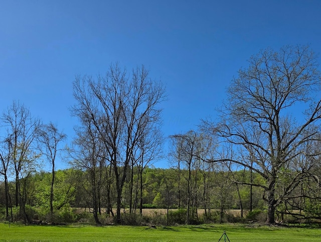 view of yard with a view of trees