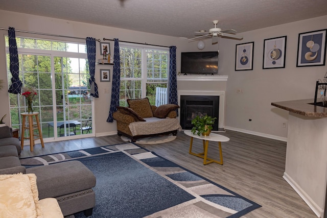 105 Autumn Ter SW, Etna, OH 43062 - living area featuring baseboards, a glass covered fireplace, ceiling fan, and wood finished floors