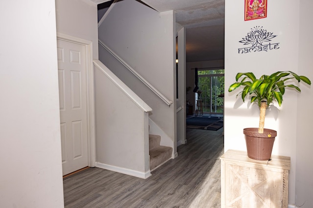 105 Autumn Ter SW, Etna, OH 43062 - stairway with baseboards and wood finished floors
