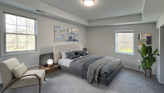 bedroom featuring visible vents, a raised ceiling, carpet, and baseboards
