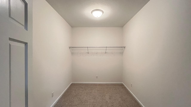 walk in closet featuring carpet