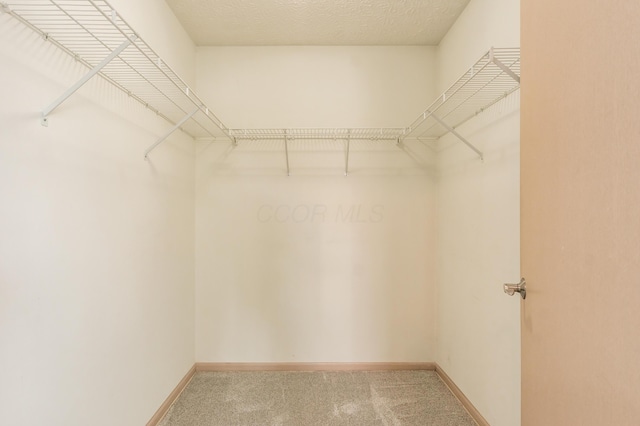 walk in closet with carpet