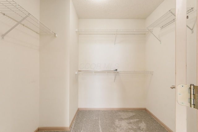 spacious closet featuring carpet