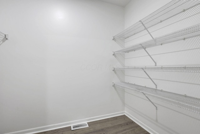 spacious closet with visible vents and dark wood finished floors
