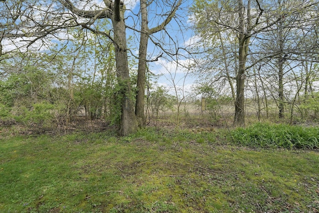 7320 Partridge Dr, Dublin, OH 43016 - view of local wilderness