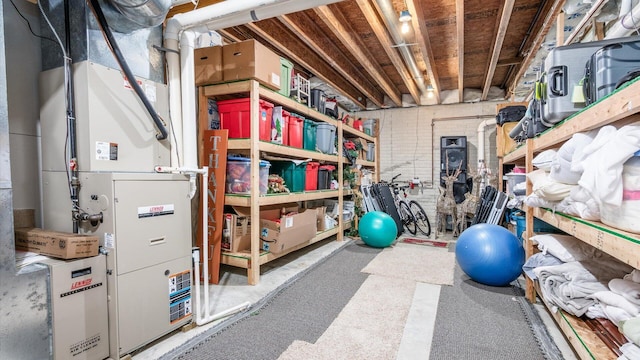 87 Dartmouth Rd SE, Hebron, OH 43025 - storage room with heating unit
