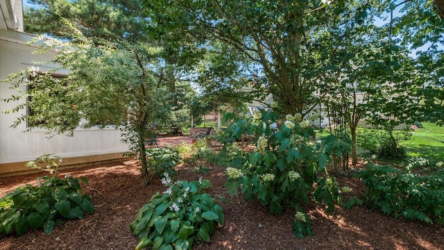 87 Dartmouth Rd SE, Hebron, OH 43025 - view of yard featuring fence