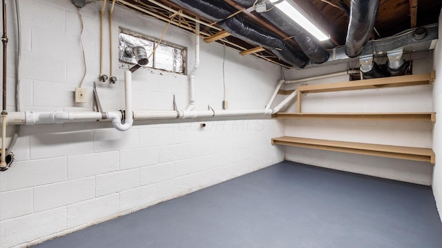 unfinished below grade area with concrete block wall