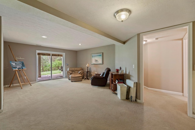 4611 Meghans Run, Batavia, OH 45103 - sitting room featuring baseboards, carpet flooring, and a textured ceiling