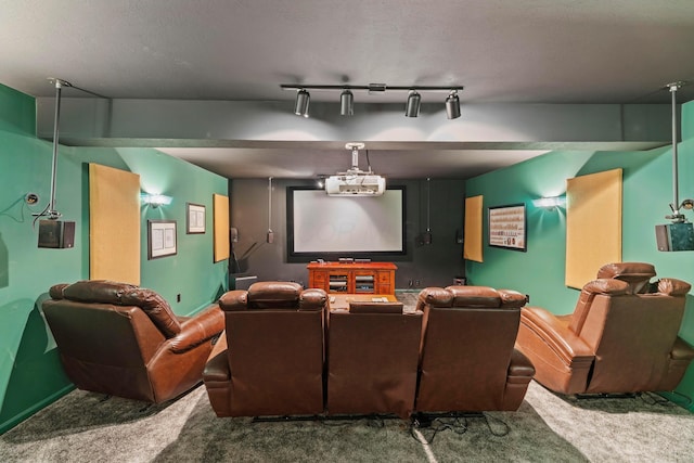 4611 Meghans Run, Batavia, OH 45103 - carpeted home theater with rail lighting