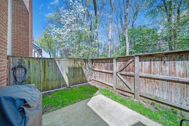 view of yard with a patio and a fenced backyard